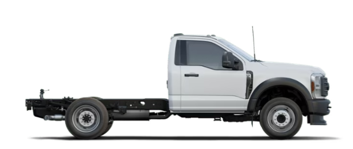 Type 1
