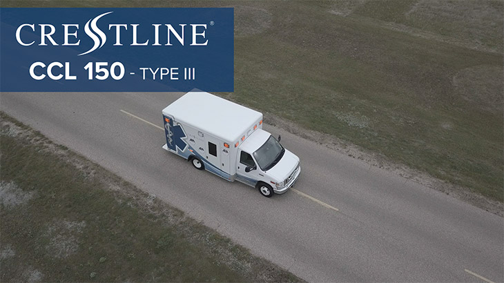 Type III Model Overview
