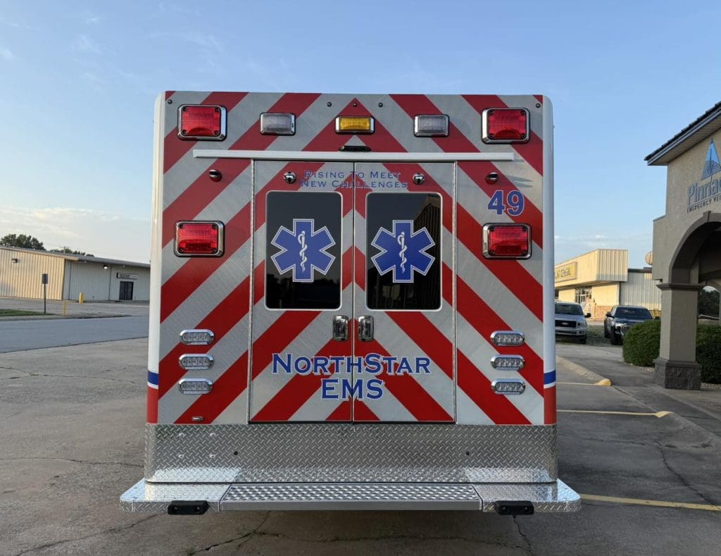 NS 3